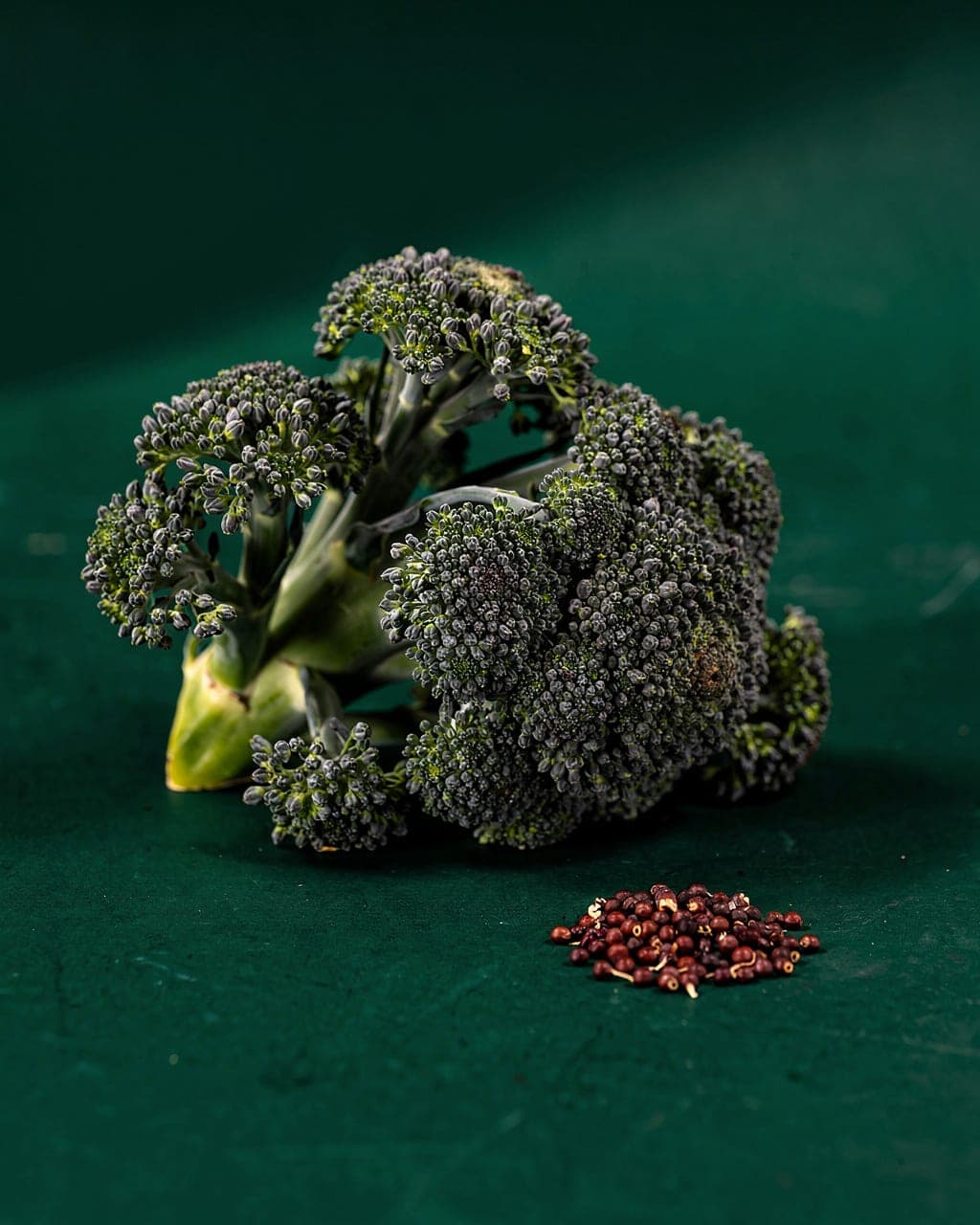 Di Cicco Broccoli — side shoots macro