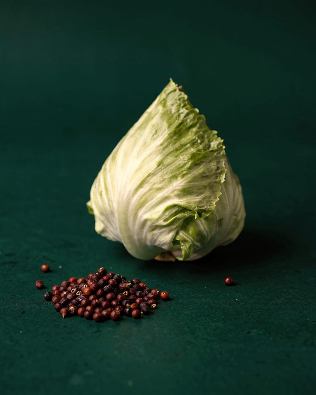 Early Jersey Wakefield Cabbage — pointed heads in bed