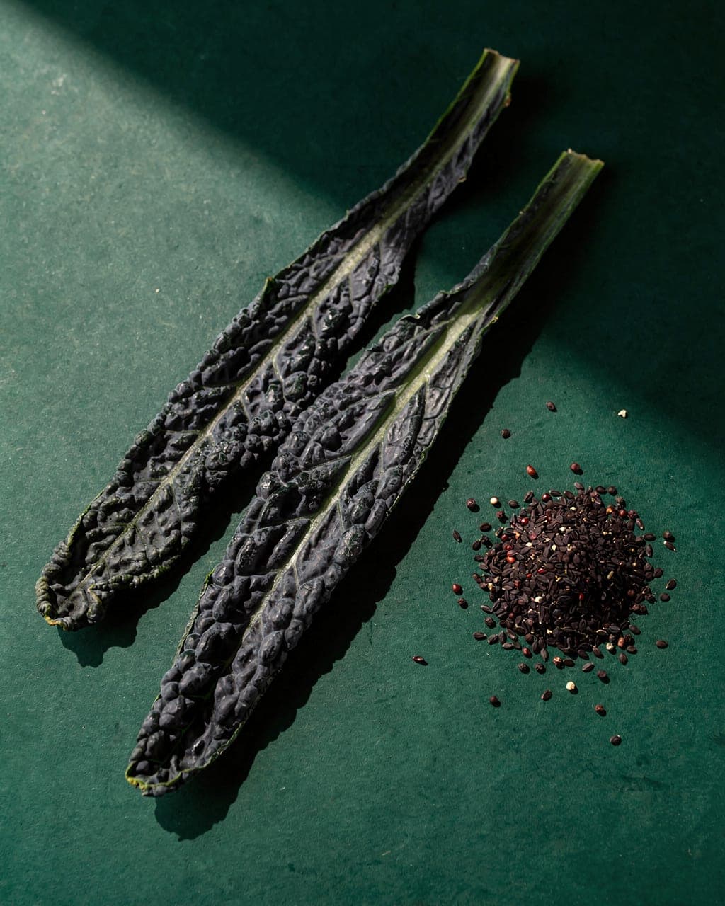 Lacinato Kale — lacinato leaves + seed packet · deep-forest background