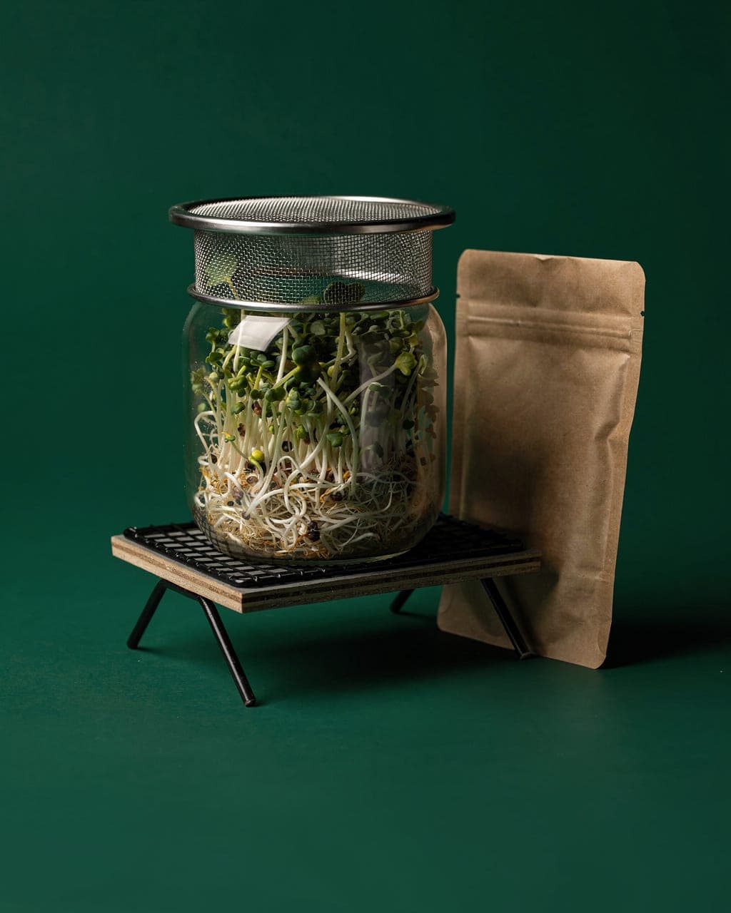Sprouting Starter Kit — jar + mesh lid + seed pouch · deep forest bg