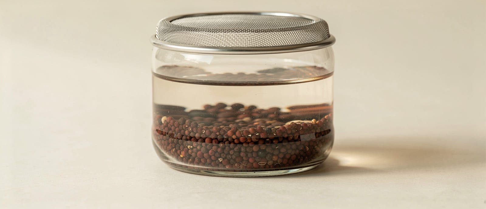 seed soaking in jar, water line visible
