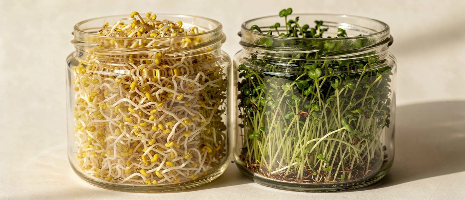 day-4 vs day-5 comparison, greening