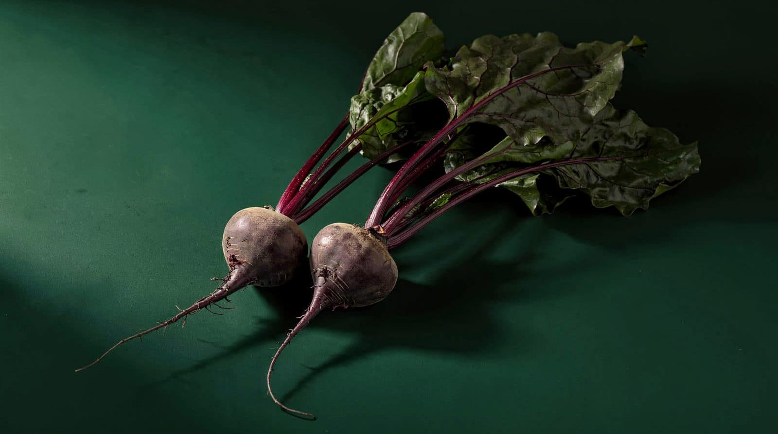 Beet roots and leaves in even light