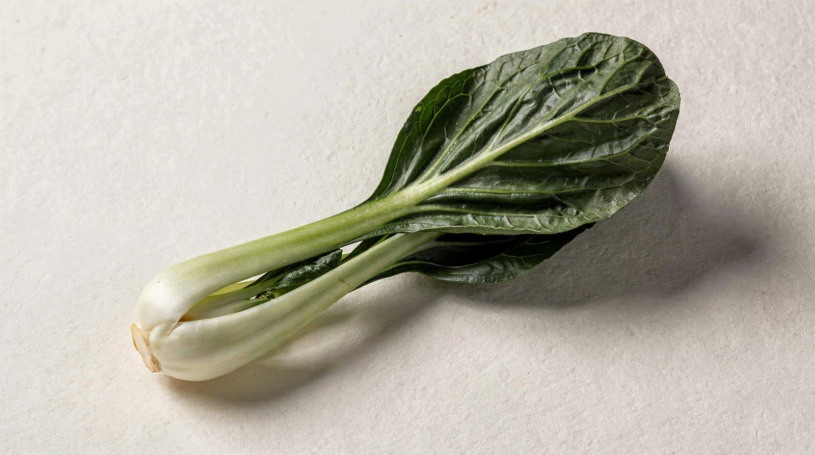 Bok choy rows in a field