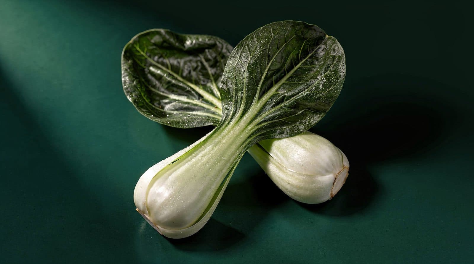 Bok choy plants in even light