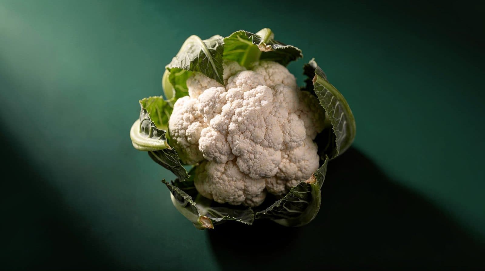 Cauliflower head and leaves in even light