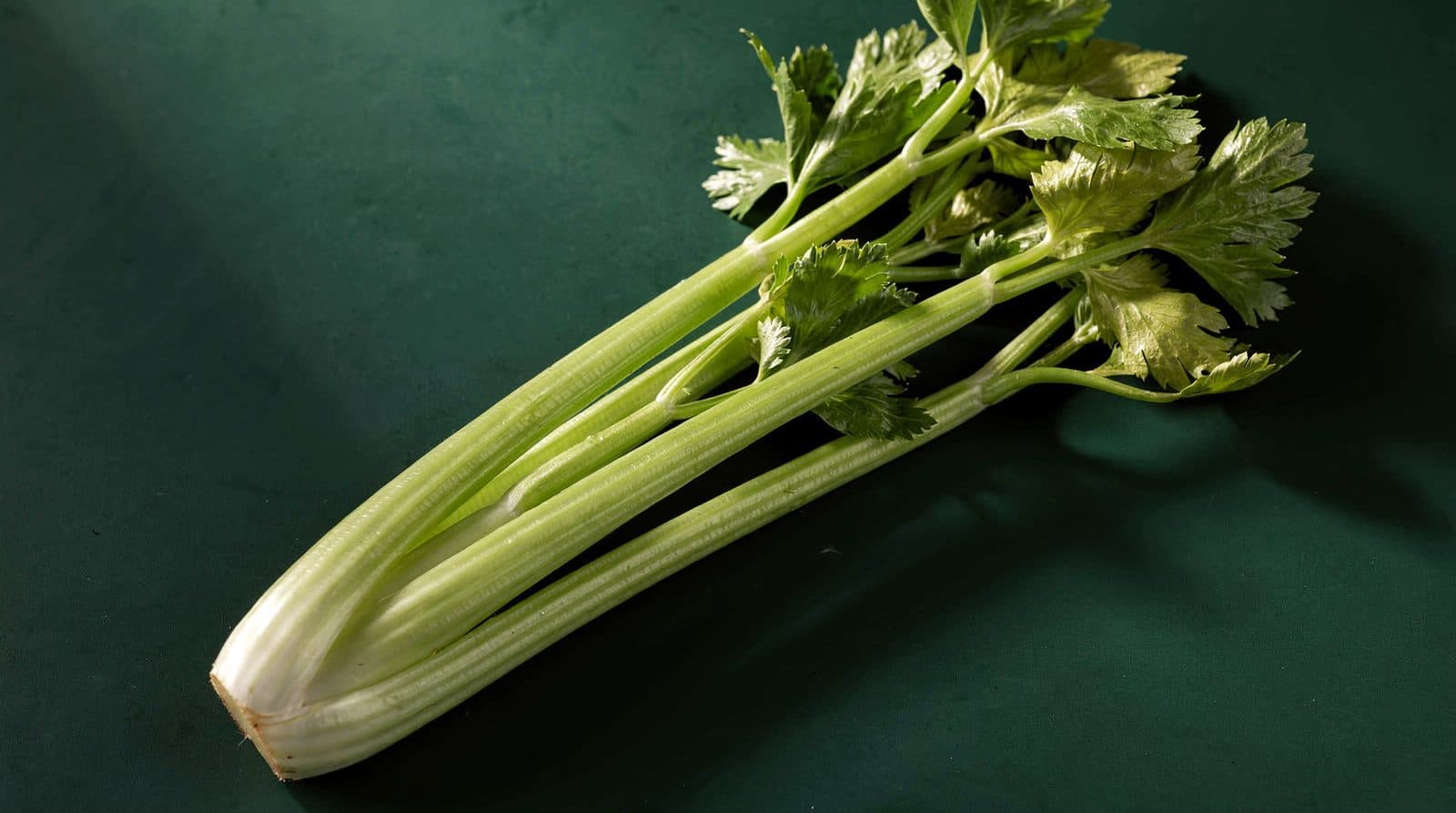 Celery stalks and foliage in even light