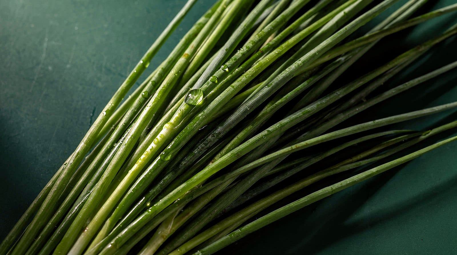 Chive foliage in even light