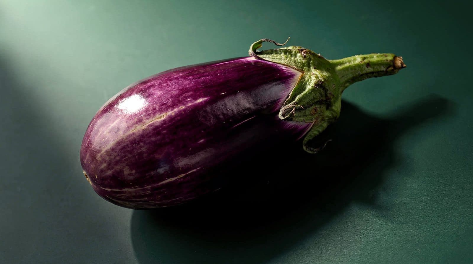 Eggplant fruit and leaves in even light