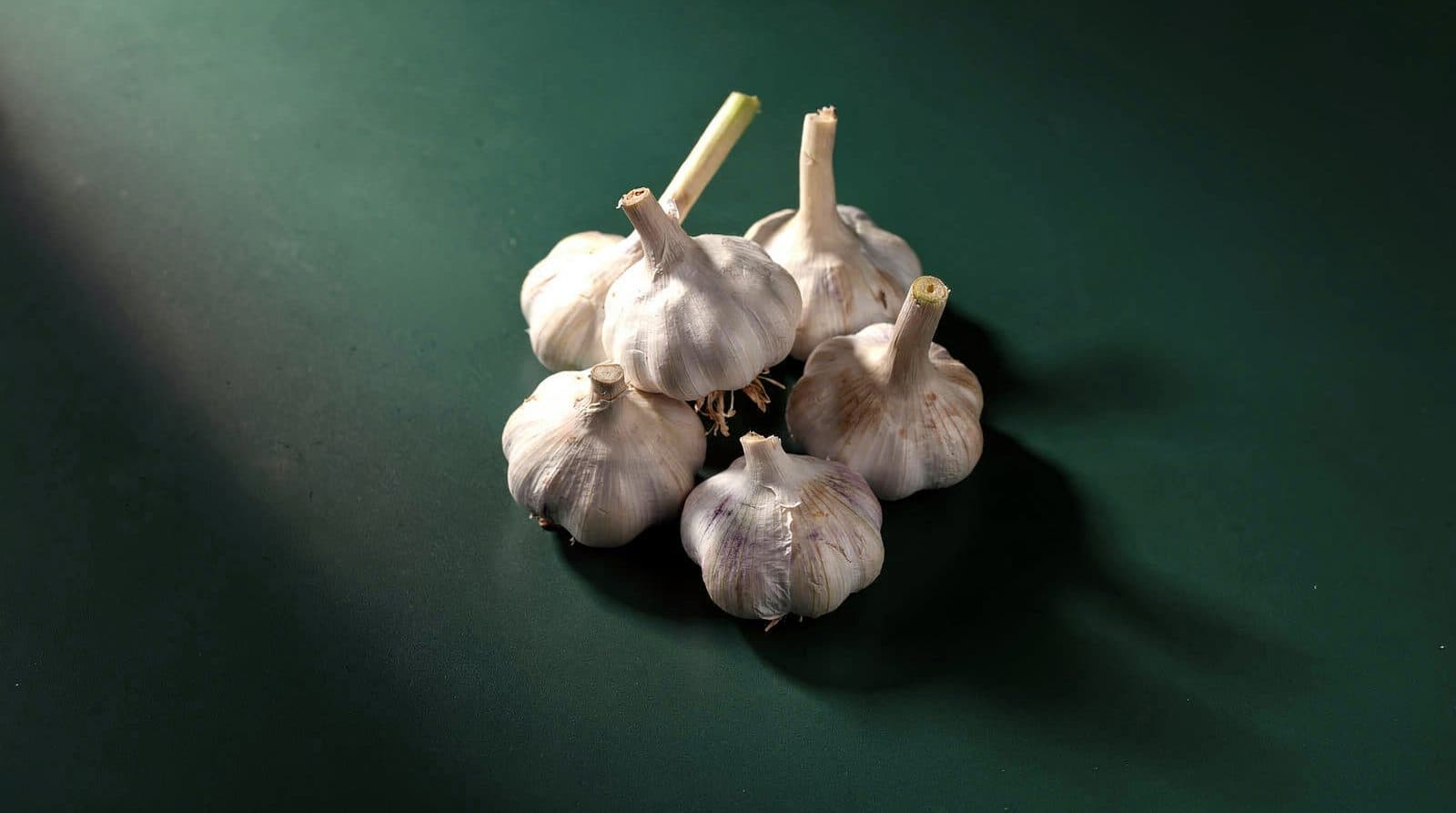 Garlic bulbs in even light