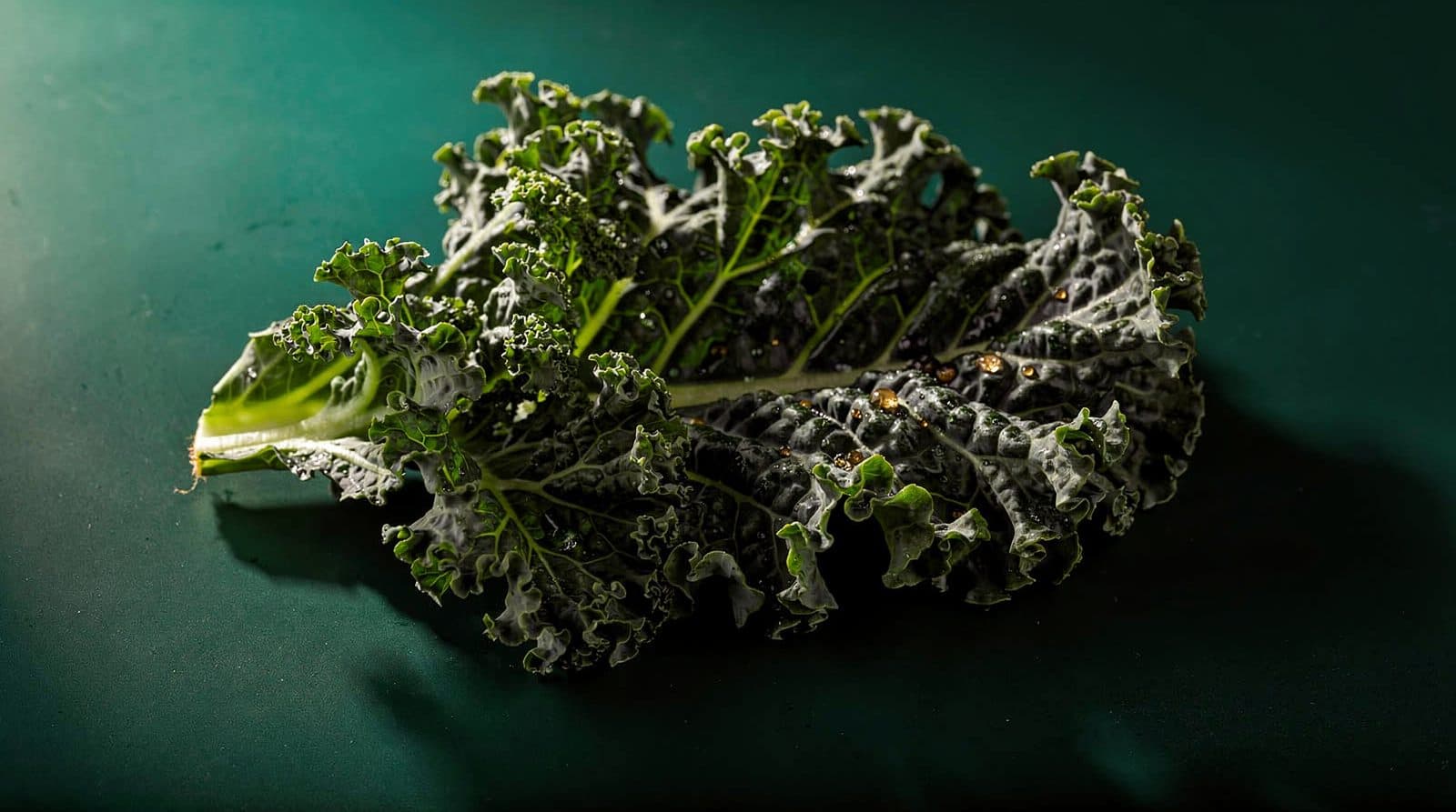Kale leaves in even light