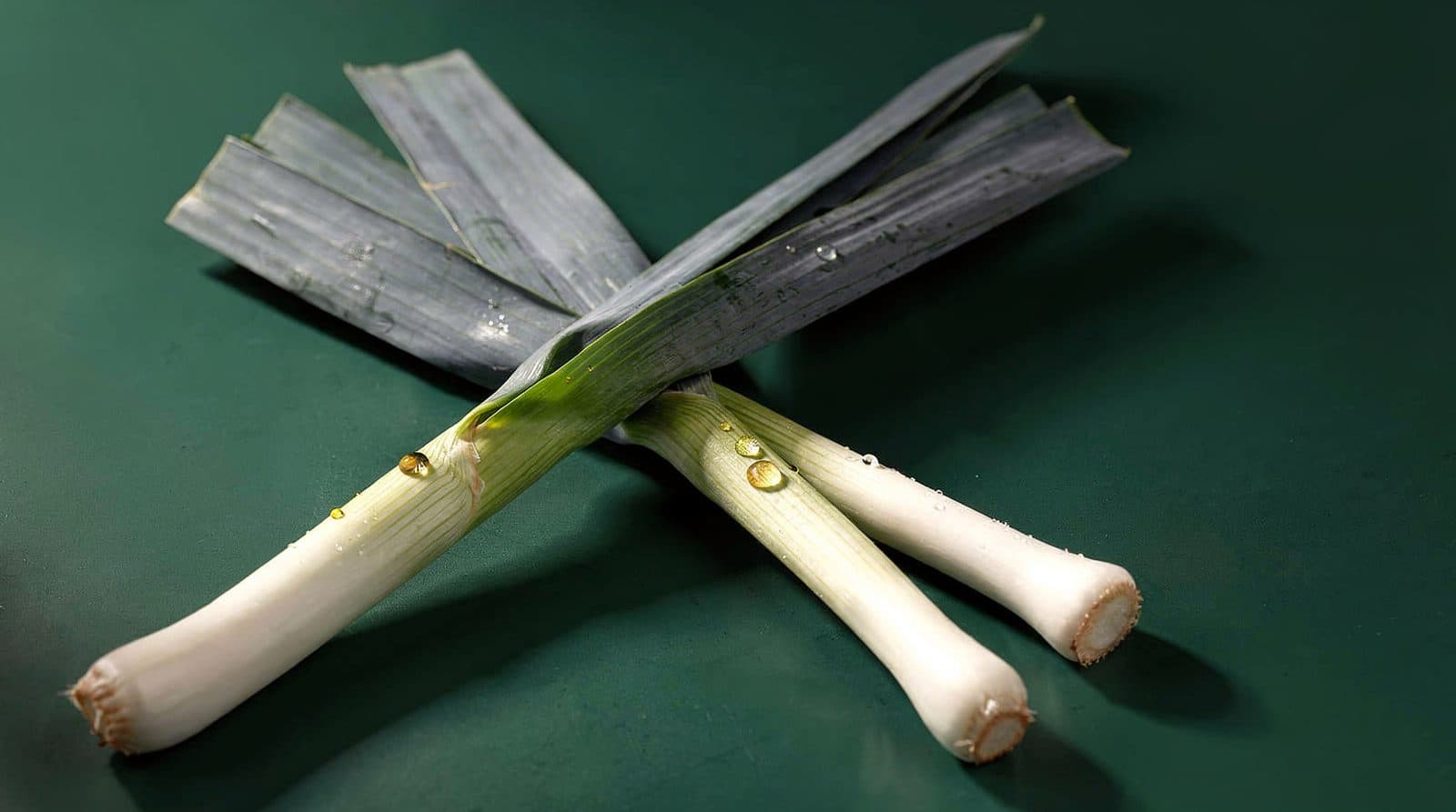 Leek plants in even light