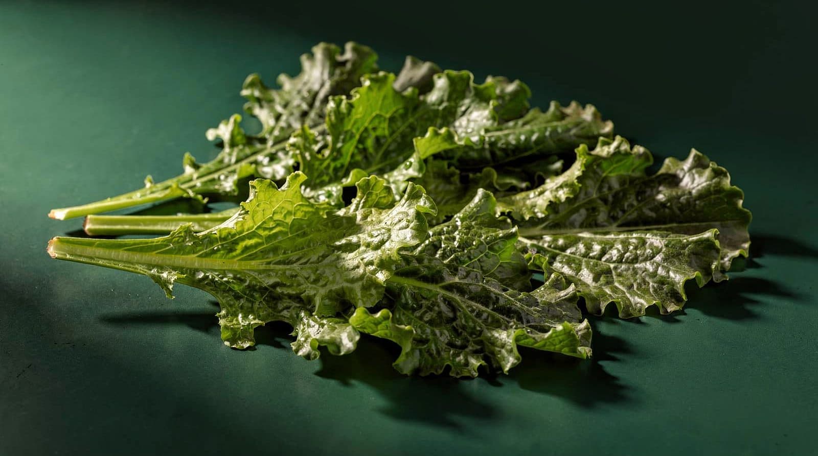 Mustard greens in even light