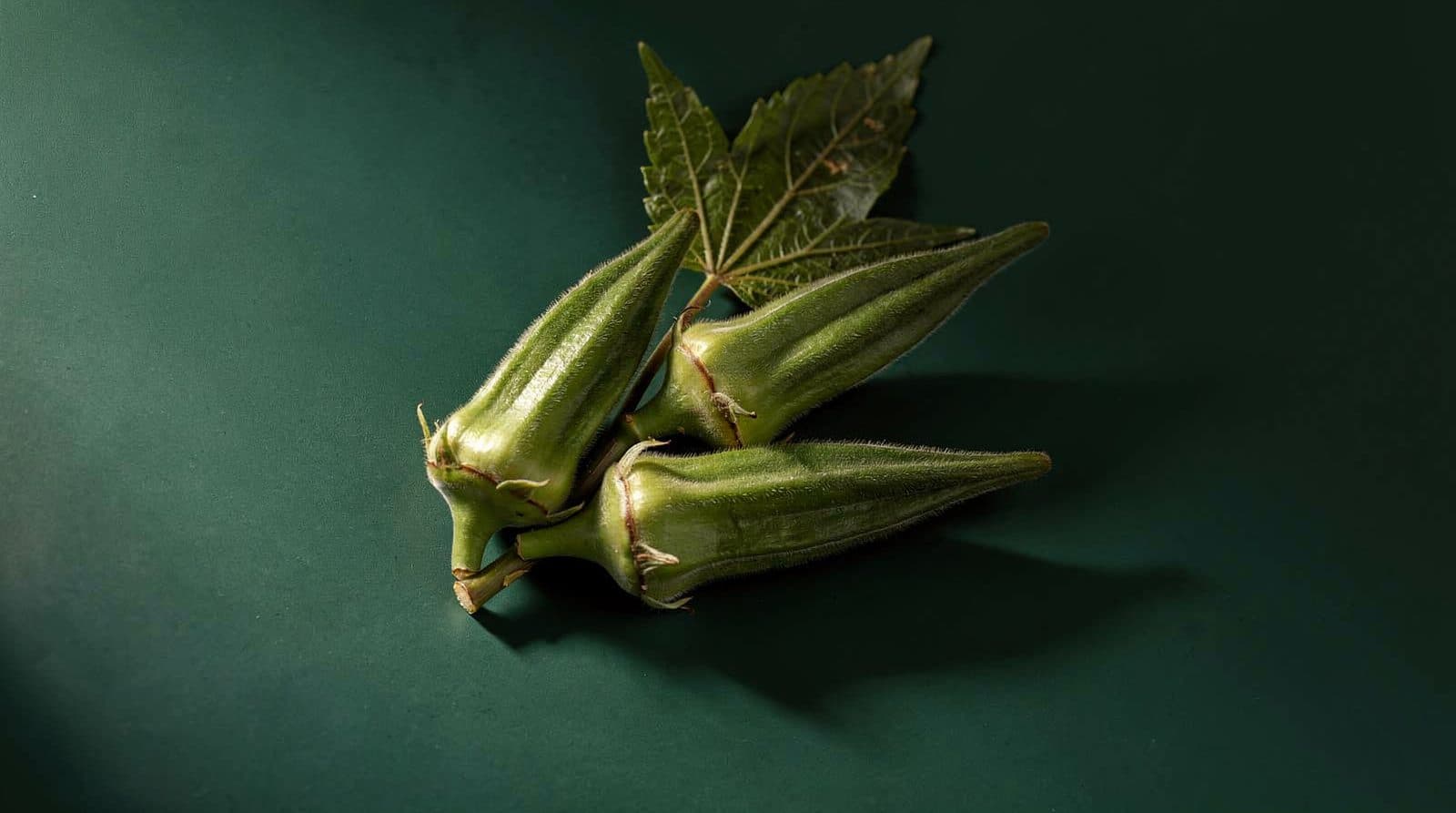 Okra pods and leaves in even light