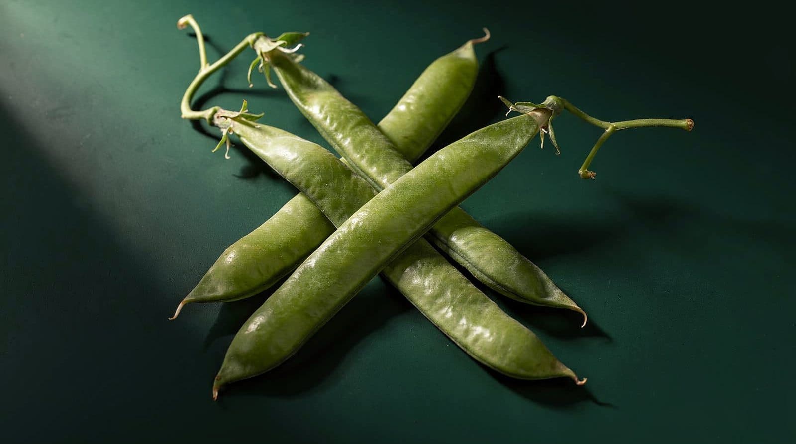 Pea pods in even light
