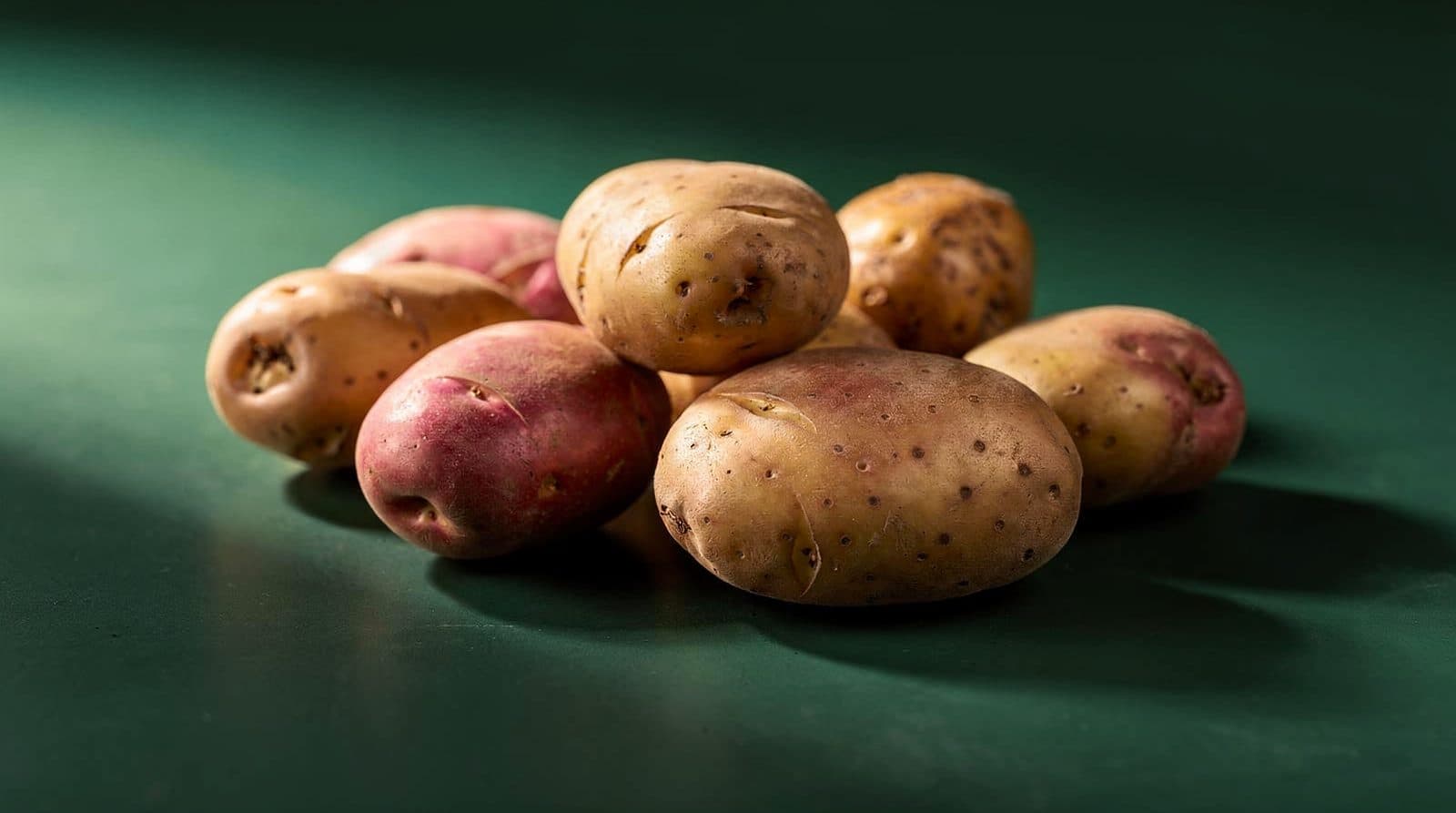 Potato tubers in even light