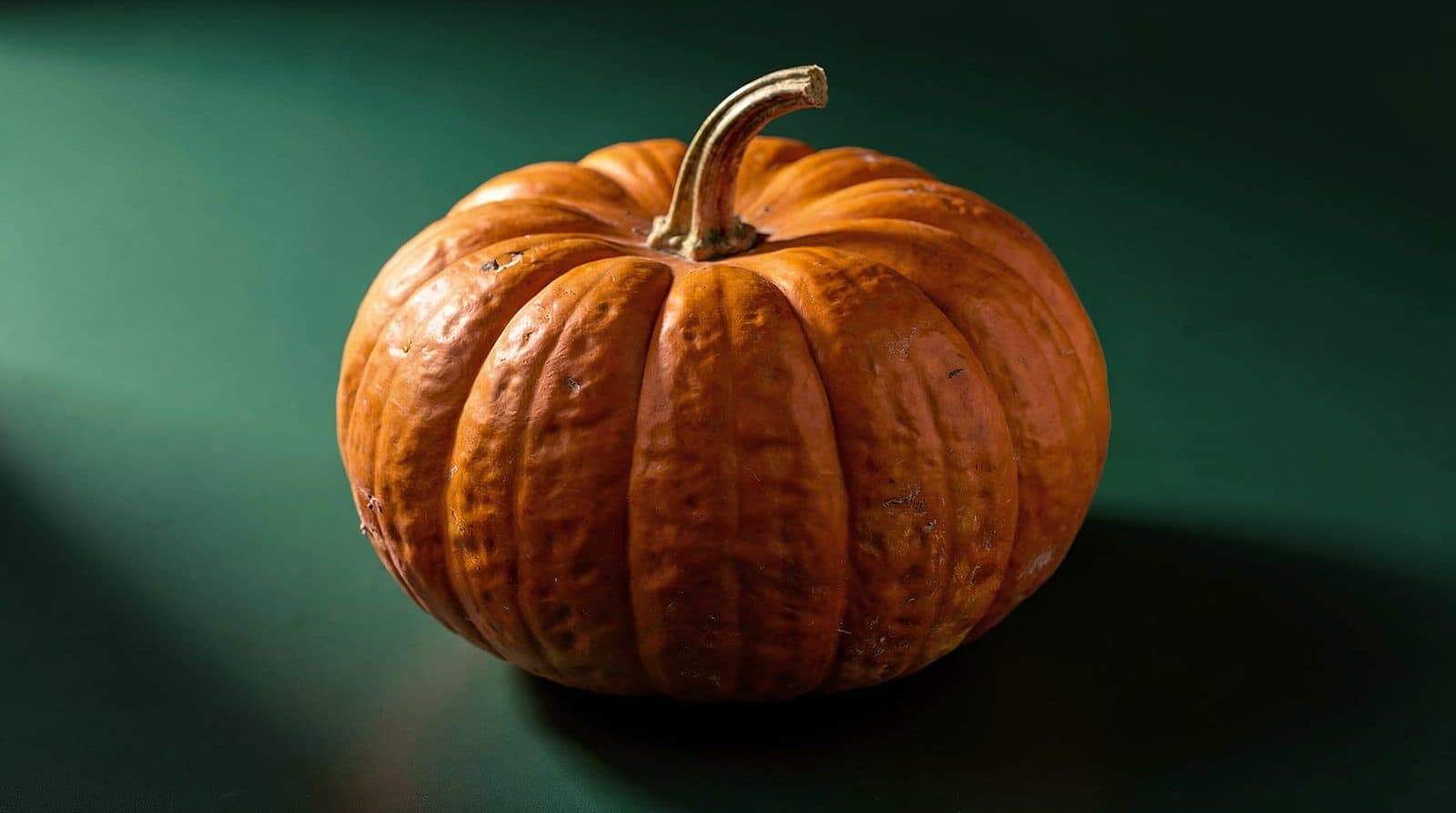 Pumpkin fruit in even light
