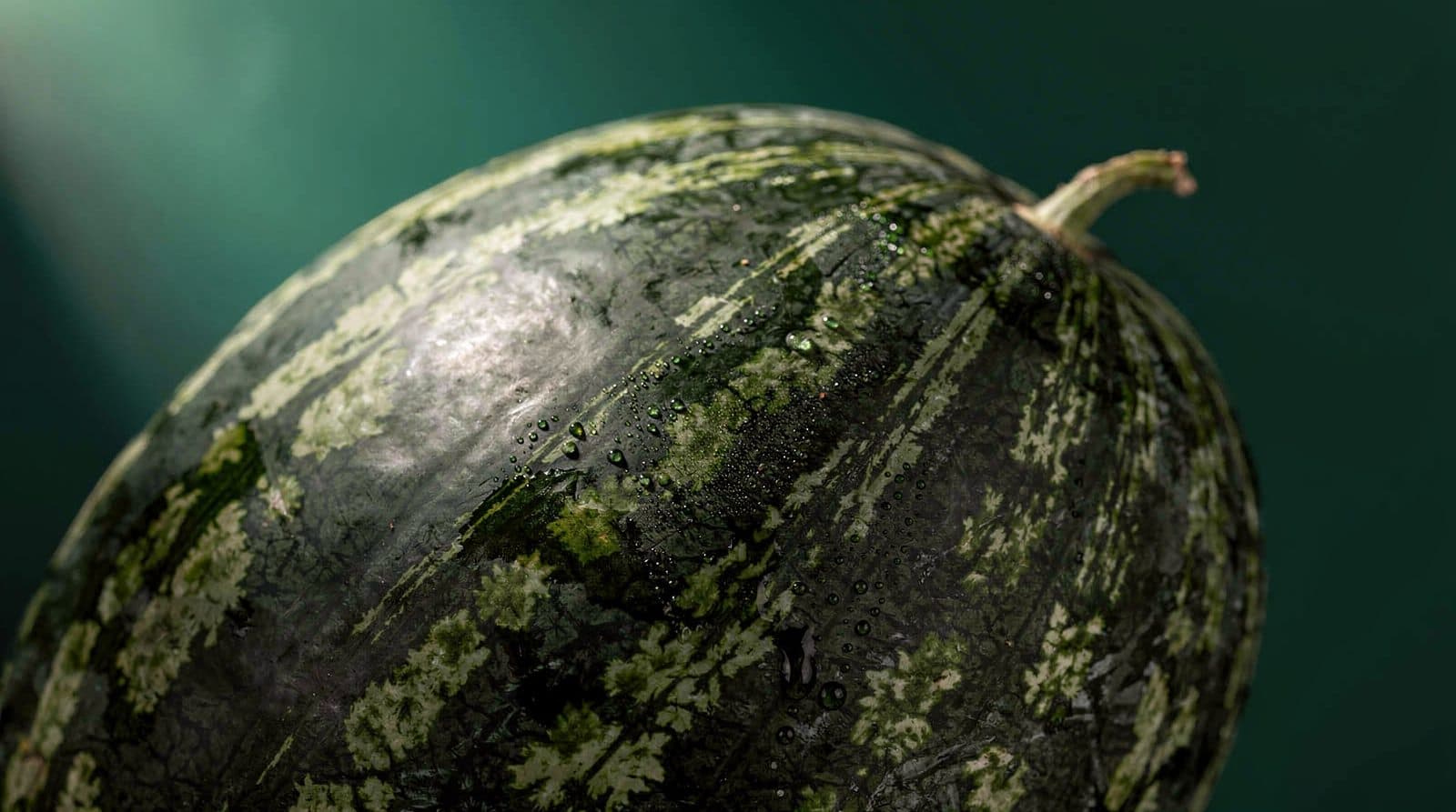 Watermelon fruit in even light