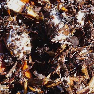 compost-extract-optimization